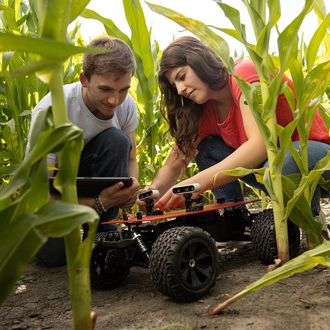 两名学生蹲在玉米地里，驾驶着遥控探测车