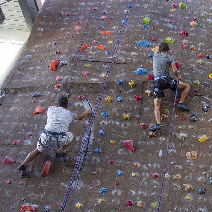 两名学生在国家体育馆攀爬攀岩墙