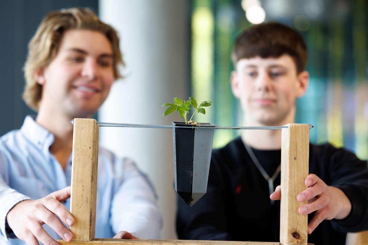 两名学生抓住一棵小植物，这是创新展示的一部分